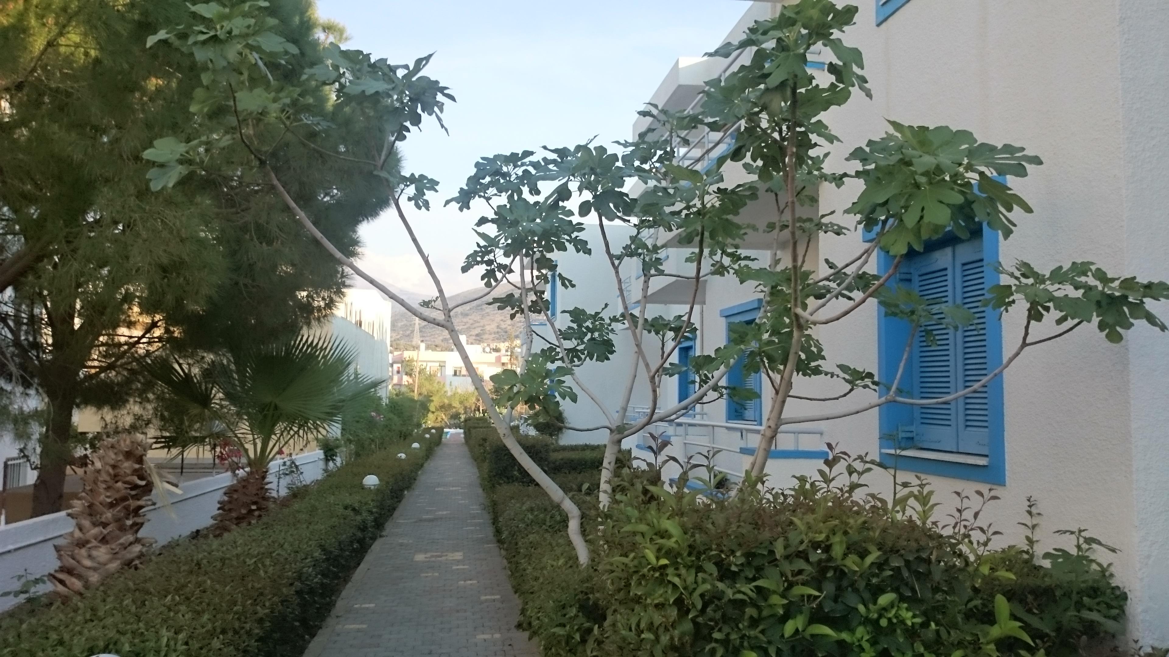 הרסוניסוס Amazones Villas Apartments מראה חיצוני תמונה